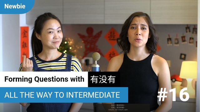 Forming Questions with 有没有